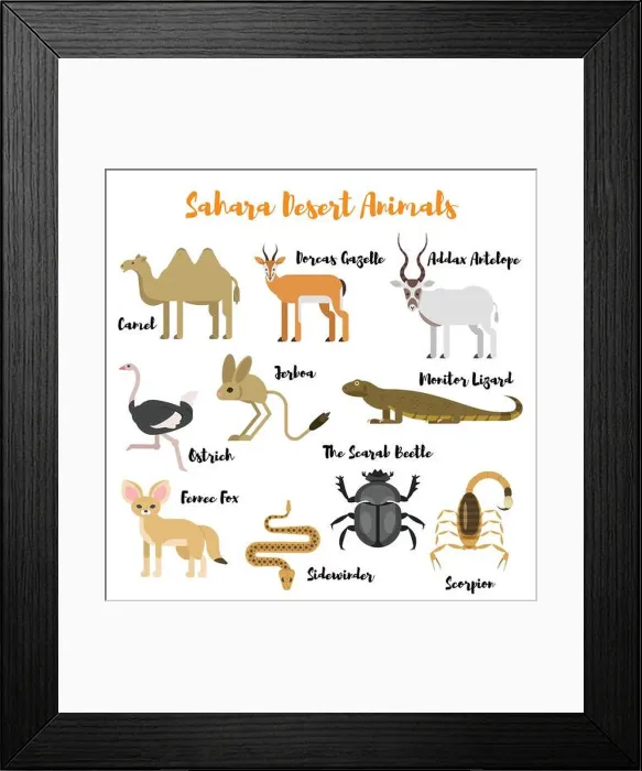 Framed Print : Vector flat style set of desert wild animals. Icon for web. Isolated on white background Framed Print : Vector flat style set of desert wild animals. Icon for web. Isolated on white background