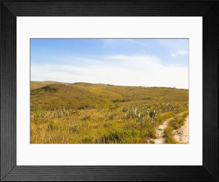 Framed Print : Rupestrian Grasland (Campos Rupestres), a brazilian ecoregion, in the Serra do Cipo Nationalpark in Minas Gerais, Brazil Framed Print : Rupestrian Grasland (Campos Rupestres), a brazilian ecoregion, in the Serra do Cipo Nationalpark in Minas Gerais, Brazil