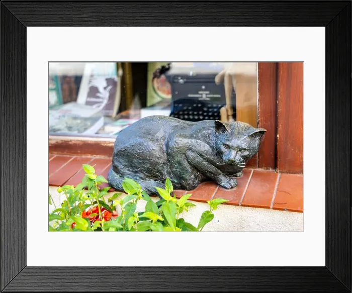 Framed Print : Statue of a cat outside Antykwariat Naukowy antique book shop, Old Town, Wroclaw, Poland Framed Print : Statue of a cat outside Antykwariat Naukowy antique book shop, Old Town, Wroclaw, Poland