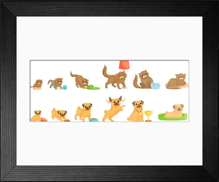 Framed Print : Pets growth stages. Little cat and dog characters Framed Print : Pets growth stages. Little cat and dog characters