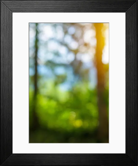 Framed Print : Forest blur bokeh background, abstract defocussed image of trees
