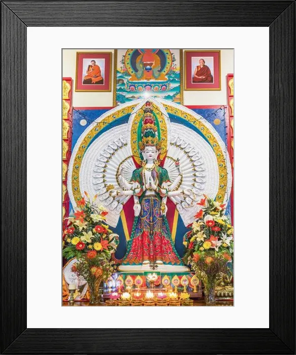 Framed Print : Eudlo, Queensland, Australia. The all-seeing