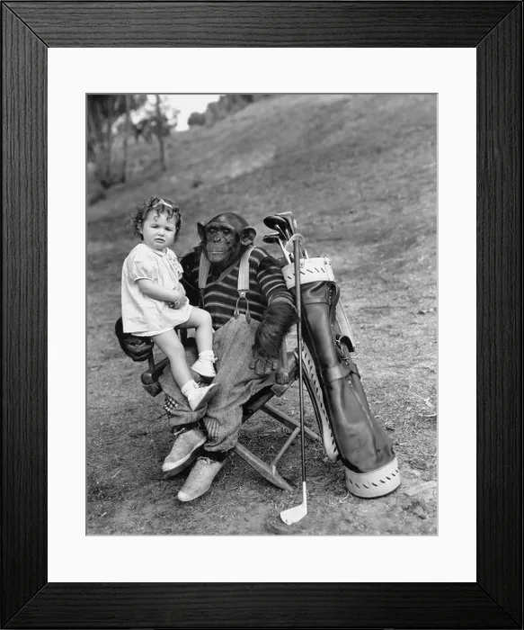 Framed Print : Monkey with golf clubs and toddler girl Framed Print : Monkey with golf clubs and toddler girl