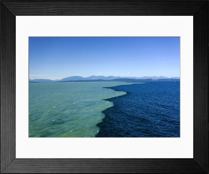 Framed Print : BRITISH COLUMBIA - Fraser River Plume in the Strait of Georgia caused by meltwater and observed in the spring Framed Print : BRITISH COLUMBIA - Fraser River Plume in the Strait of Georgia caused by meltwater and observed in the spring