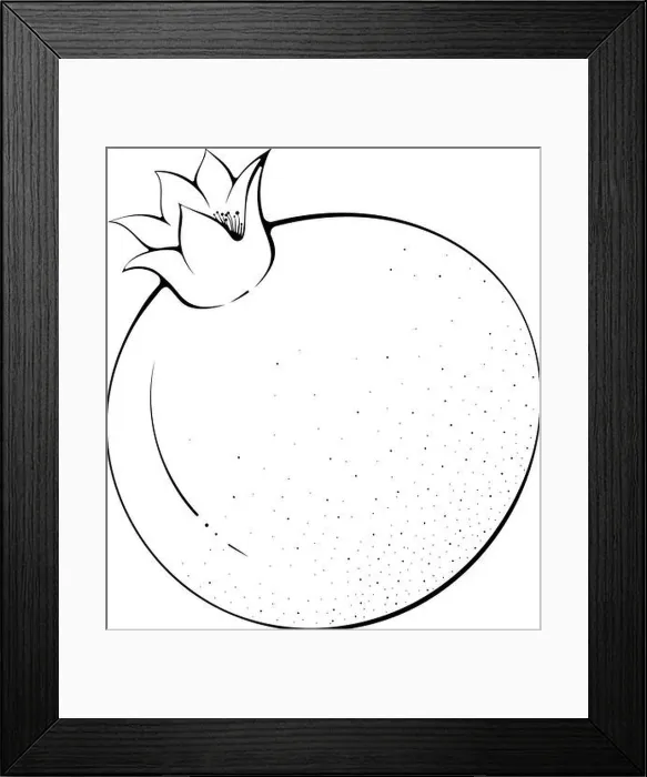 Framed Print : Whole pomegranate line art Framed Print : Whole pomegranate line art