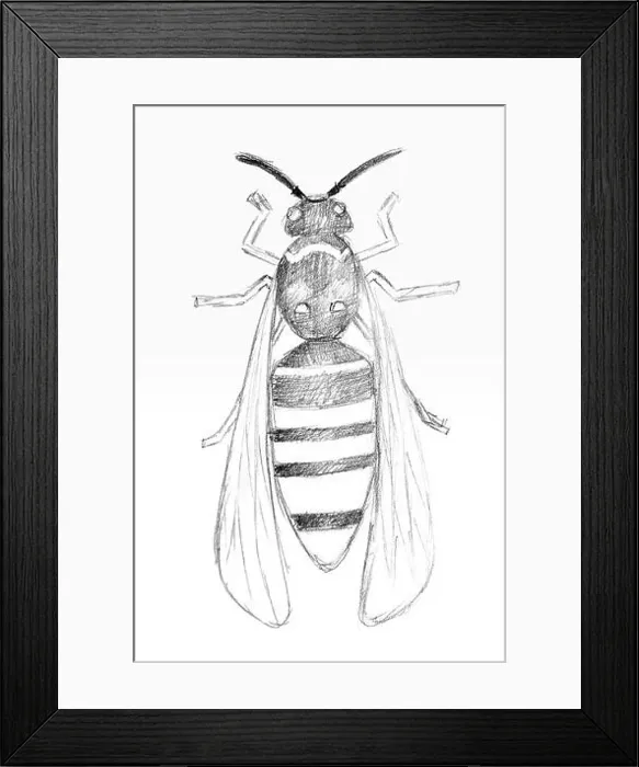 Framed Print : Pencil drawing by the wasp on the white paper. Original pencil or drawing charcoal, and hand drawn painting Framed Print : Pencil drawing by the wasp on the white paper. Original pencil or drawing charcoal, and hand drawn painting