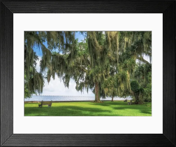 Framed Print : Lake Pontchartrain northshore, north shore lakefront park with Southern Live Oak trees and New Orleans causeway Framed Print : Lake Pontchartrain northshore, north shore lakefront park with Southern Live Oak trees and New Orleans causeway