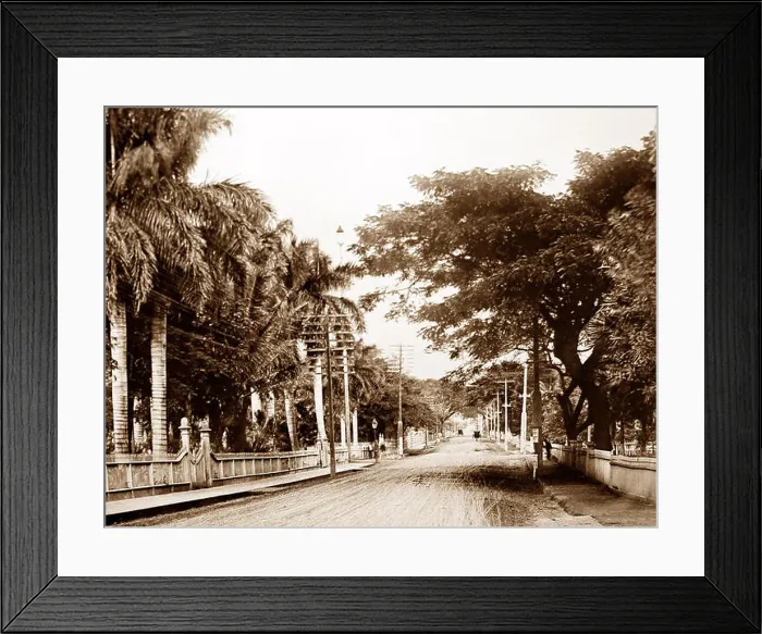 Framed Print : Nuuanu Avenue, Honolulu, Hawaii, pre 1900 Framed Print : Nuuanu Avenue, Honolulu, Hawaii, pre 1900