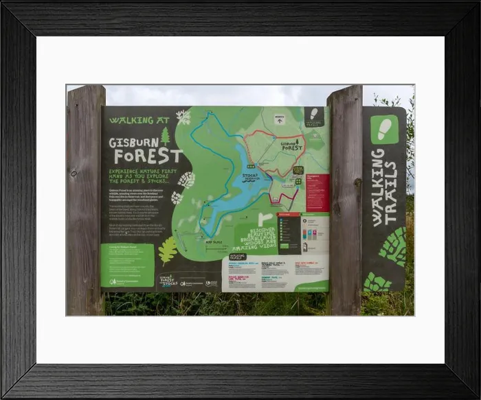 Framed Print : Gisburn Forest. Forrest of Bowland Framed Print : Gisburn Forest. Forrest of Bowland