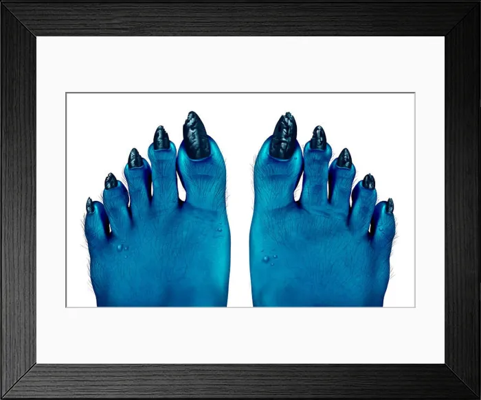 Framed Print : Monster blue feet as a creepy halloween or scary zombie symbol with textured skin and toes with hair Framed Print : Monster blue feet as a creepy halloween or scary zombie symbol with textured skin and toes with hair