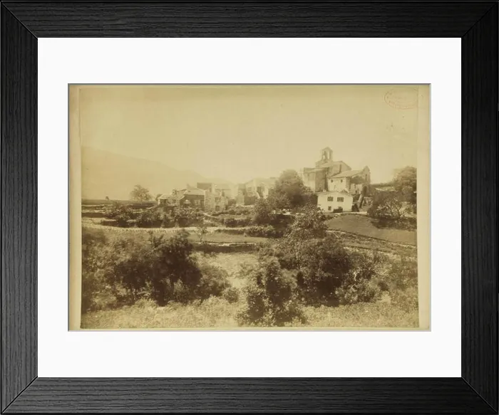 Framed Print : Brutails Casefabre Framed Print : Brutails Casefabre
