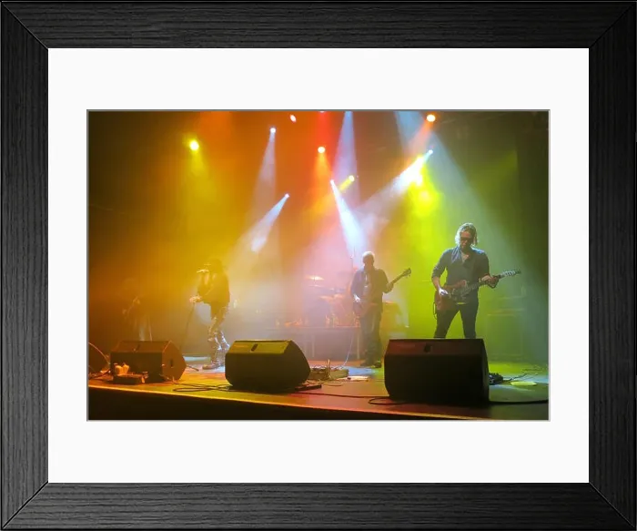 Framed Print : Fields of the Nephilim live at the Forum, London. 20th June 2016 Framed Print : Fields of the Nephilim live at the Forum, London. 20th June 2016