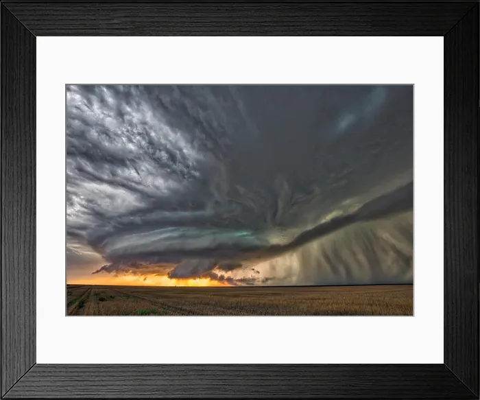 Framed Print : NABRASKA, USA: A TEACHER has braved death in an obsessive bid to document the birth Framed Print : NABRASKA, USA: A TEACHER has braved death in an obsessive bid to document the birth