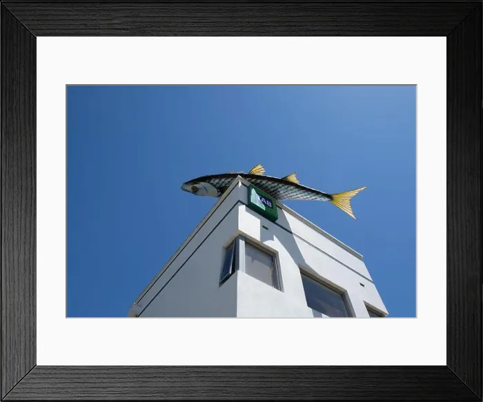 Framed Print : Fish sculpture by artist Colin Suggett on the rooftop of the Fish Creek Hotel, Victoria, Australia Framed Print : Fish sculpture by artist Colin Suggett on the rooftop of the Fish Creek Hotel, Victoria, Australia