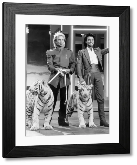 Framed Print : The two magicians Siegfried and Roy with their tigers Framed Print : The two magicians Siegfried and Roy with their tigers