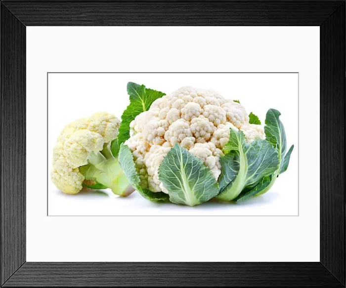 Framed Print : High-quality image of a whole and partial cauliflower with green leaves isolated on white Framed Print : High-quality image of a whole and partial cauliflower with green leaves isolated on white