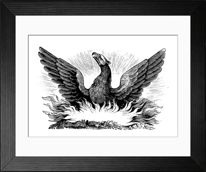 Framed Print : Phoenix. Wood engraving of the mythical bird, 19th century Framed Print : Phoenix. Wood engraving of the mythical bird, 19th century
