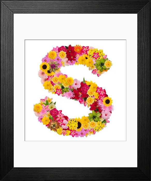 Framed Print : Letters alphabet with flower ABC concept type as logo isolated on white background. With clipping path Framed Print : Letters alphabet with flower ABC concept type as logo isolated on white background. With clipping path