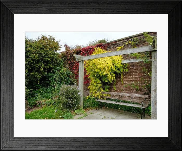 Framed Print : A bench under a pergola at Brockwell Park Framed Print : A bench under a pergola at Brockwell Park