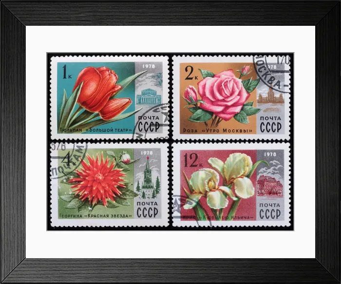 Framed Print : USSR - circa 1978: A post stamp printed in the Soviet shows image of flowers, series Flowers, circa 1978