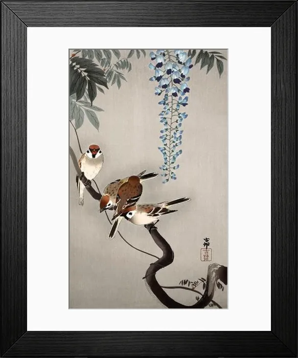 Framed Print : Ring sparrows at wisteria (1900 - 1936) by Ohara Koson (1877-1945) Framed Print : Ring sparrows at wisteria (1900 - 1936) by Ohara Koson (1877-1945)