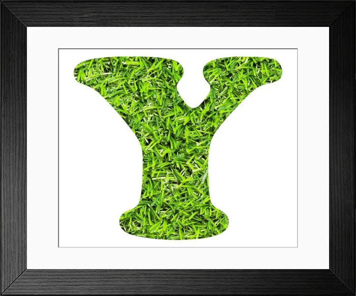 Framed Print : Letter Y - Artificial green grass background Framed Print : Letter Y - Artificial green grass background