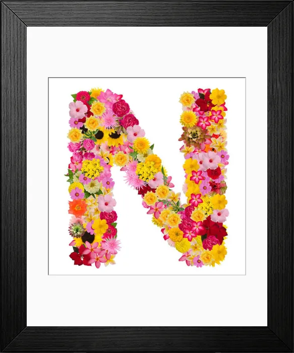 Framed Print : Letter N alphabet with flower ABC concept type as logo isolated on white background. With clipping path Framed Print : Letter N alphabet with flower ABC concept type as logo isolated on white background. With clipping path