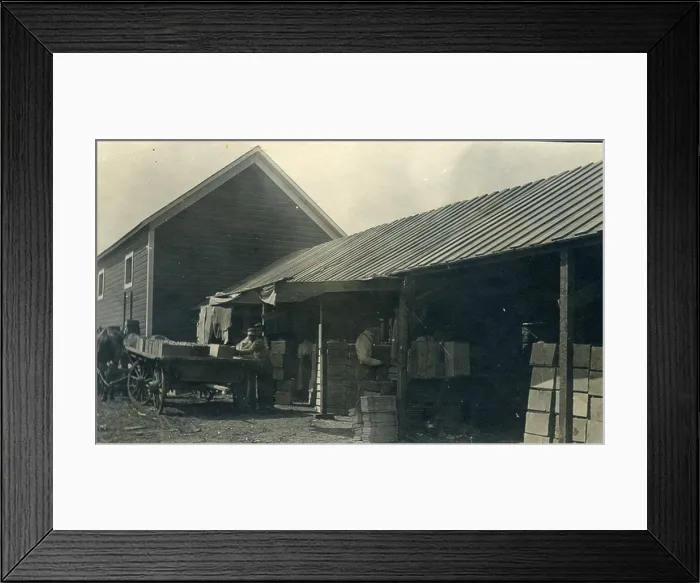 Framed Print : A historical photograph capturing workers in a tomato packing shed in Milton-Freewater Framed Print : A historical photograph capturing workers in a tomato packing shed in Milton-Freewater