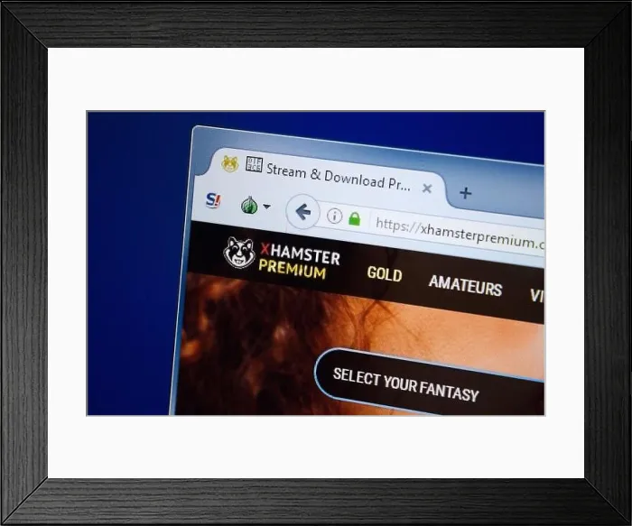 Framed Print : Ryazan, Russia - August 26, 2018: Homepage of Xhamster Premium website on the display of PC, Url - XhamsterPremium.com Framed Print : Ryazan, Russia - August 26, 2018: Homepage of Xhamster Premium website on the display of PC, Url - XhamsterPremium.com