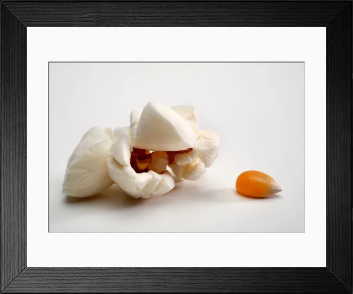 Framed Print : Popped popcorn and unpopped kernel close up Framed Print : Popped popcorn and unpopped kernel close up