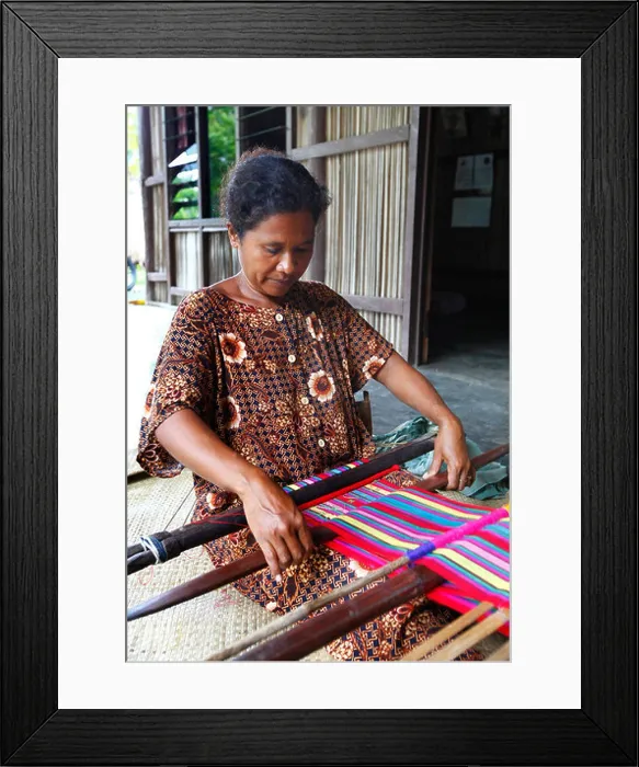 Framed Print : Woman traditionally weaving tais on backstrap loom in Timor Leste (East Timor) Framed Print : Woman traditionally weaving tais on backstrap loom in Timor Leste (East Timor)