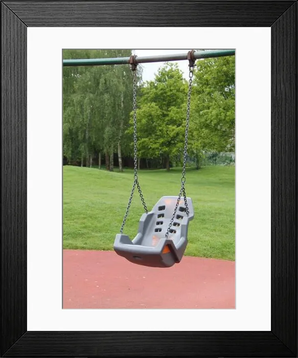 Framed Print : A Swing Safety Seat for a Small or Disabled Child Framed Print : A Swing Safety Seat for a Small or Disabled Child