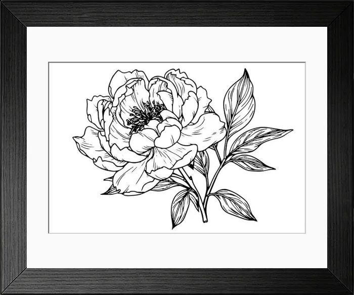 Framed Print : Peony flower and leaves drawing. Vector hand drawn engraved ink illustration Framed Print : Peony flower and leaves drawing. Vector hand drawn engraved ink illustration