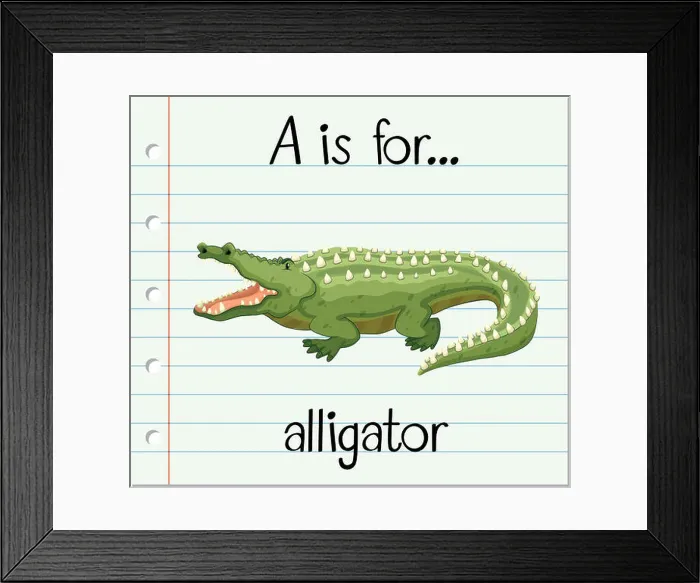 Framed Print : Flashcard letter A is for alligator Framed Print : Flashcard letter A is for alligator