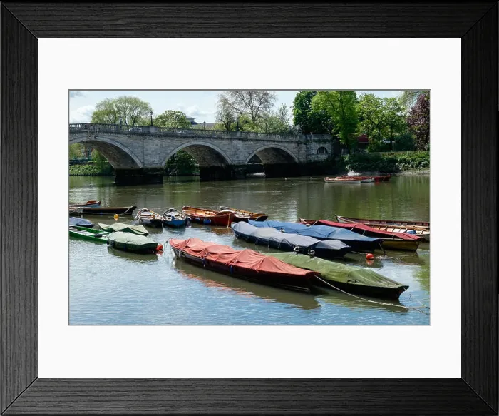 Framed Print : Colourful docked row boats on the River Thames at Richmond Framed Print : Colourful docked row boats on the River Thames at Richmond