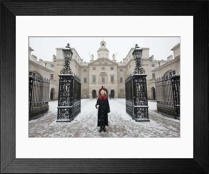 Framed Print : Household Cavalry trooper from the Blues and Royals (Royal Horse Guards and 1st Dragoons) Regiment Framed Print : Household Cavalry trooper from the Blues and Royals (Royal Horse Guards and 1st Dragoons) Regiment