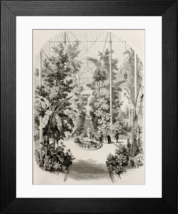 Framed Print : Greenhouse old illustration, Jardin-des-Plantes, Paris Framed Print : Greenhouse old illustration, Jardin-des-Plantes, Paris
