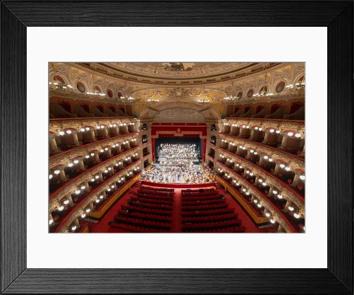 Framed Print : Inside the Vincenzo Bellini Theater Teatro Massimo Bellini Framed Print : Inside the Vincenzo Bellini Theater Teatro Massimo Bellini