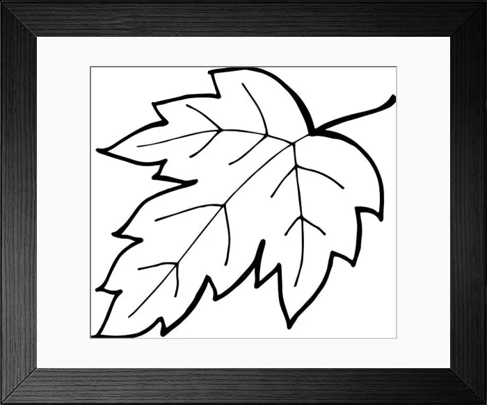 Framed Print : Vector line drawing abstract fall leaf Framed Print : Vector line drawing abstract fall leaf