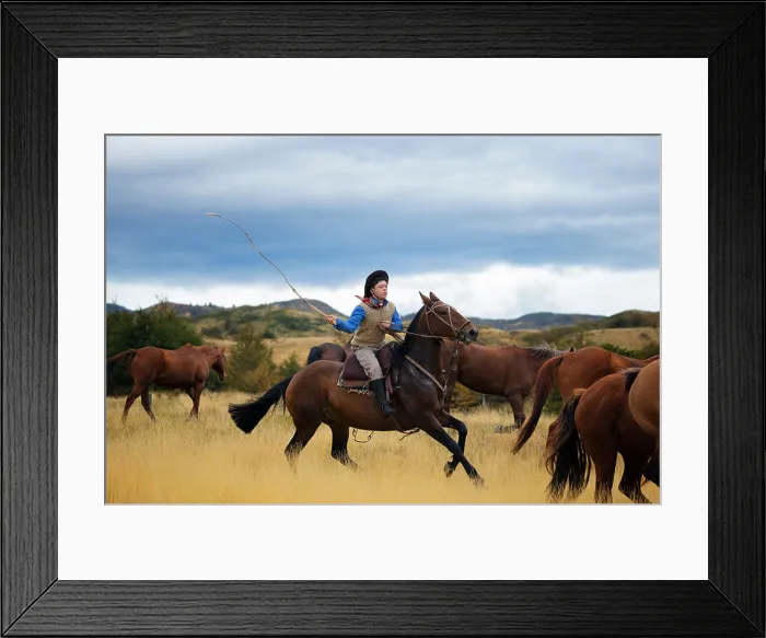 Framed Print : Gaucho on his horse, rounding up wild horses.Patagonia.Chile Framed Print : Gaucho on his horse, rounding up wild horses.Patagonia.Chile