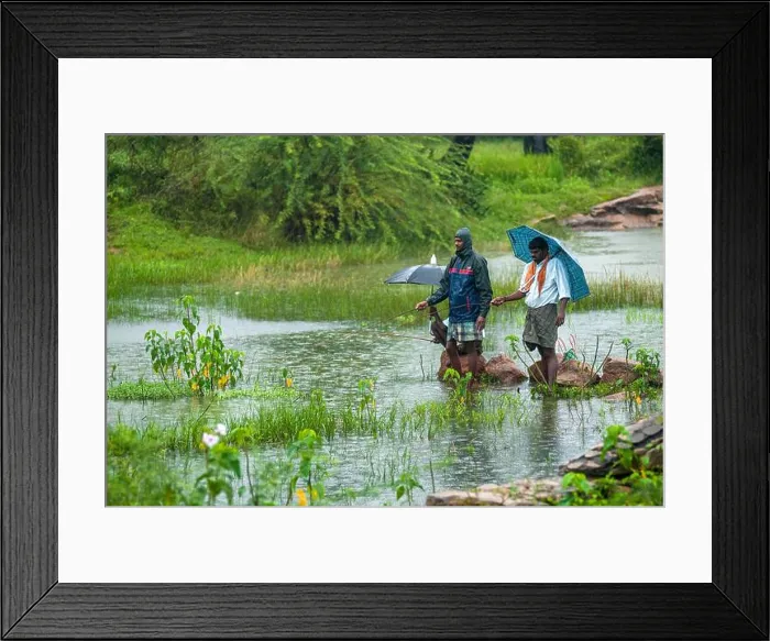 Framed Print : Village people angling during a rainy day, Tamil Nadu, South India, India, Asia Framed Print : Village people angling during a rainy day, Tamil Nadu, South India, India, Asia