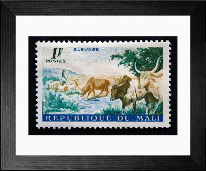Framed Print : Postage stamp, Mali, 1960-s Framed Print : Postage stamp, Mali, 1960-s