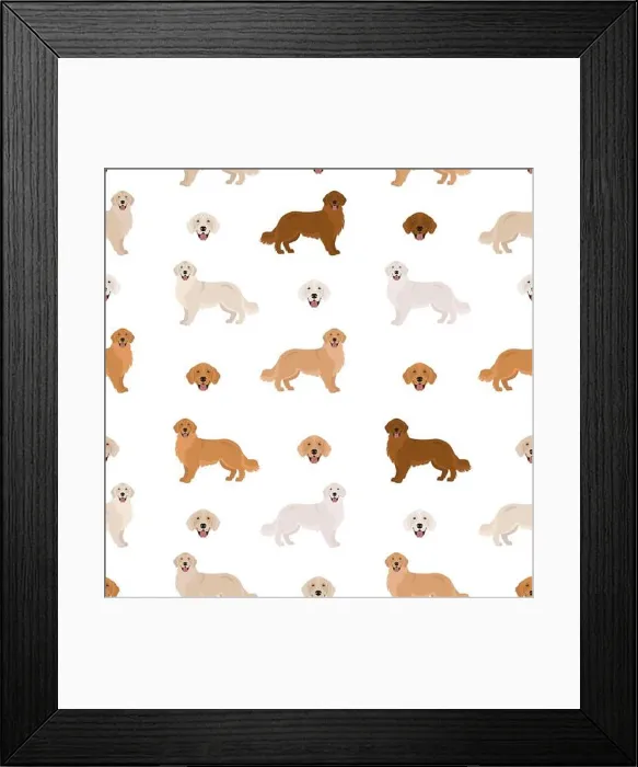 Framed Print : Golden retriever dogs in different poses and coat colors Framed Print : Golden retriever dogs in different poses and coat colors