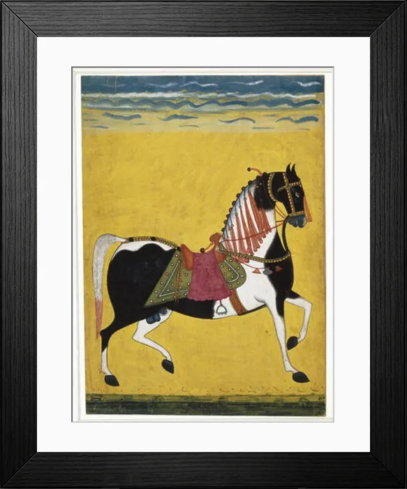 Framed Print : Portrait of a Stallion Northern India Framed Print : Portrait of a Stallion Northern India