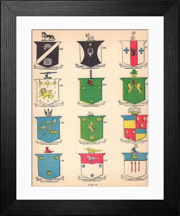 Framed Print : Irish arms Butler O'Reilly Wright Ward Shanahan Moore Mulcahy Reynolds 1905 Framed Print : Irish arms Butler O'Reilly Wright Ward Shanahan Moore Mulcahy Reynolds 1905