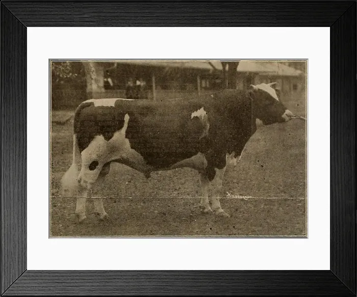 Framed Print : Breeder and sportsman. Horses. May Framed Print : Breeder and sportsman. Horses. May