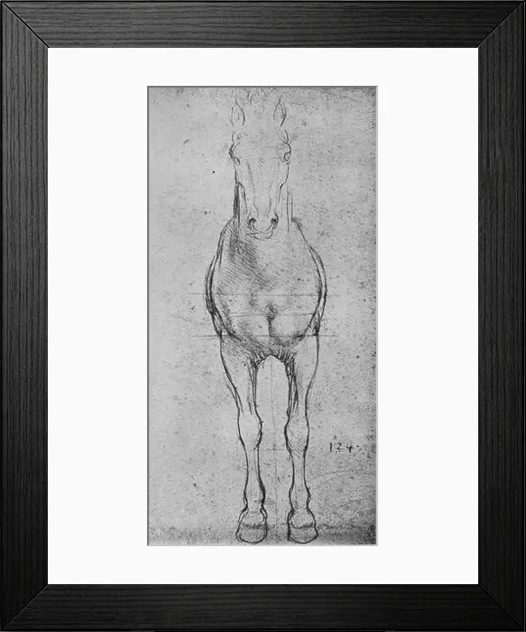 Framed Print : A Horse Seen from the Front, c1480 (1945). Artist: Leonardo da Vinci Framed Print : A Horse Seen from the Front, c1480 (1945). Artist: Leonardo da Vinci