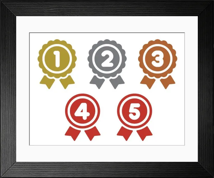 Framed Print : ranking medal icon illustration set. from 1st place to 5th place (gold / silver / bronze etc.)