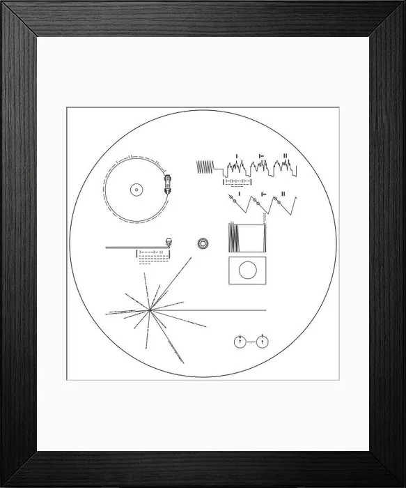 Framed Print : Voyager Golden Record line drawing Framed Print : Voyager Golden Record line drawing