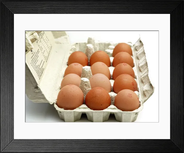 Framed Print : British eggs in egg box england uk Framed Print : British eggs in egg box england uk
